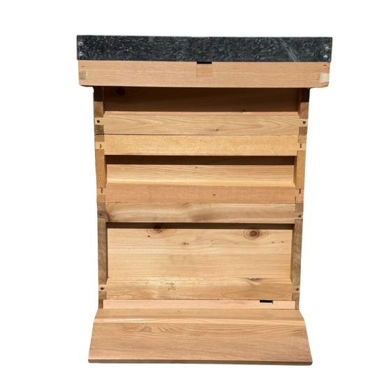 National Complete Hive Kit with Frames & Wax Foundation - Cedar