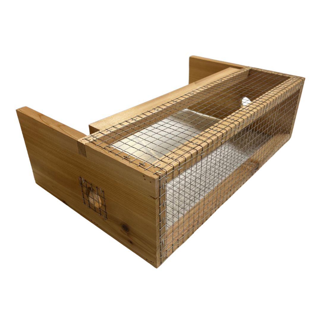 National Asian Hornet Hive Defender - Western Red Cedar