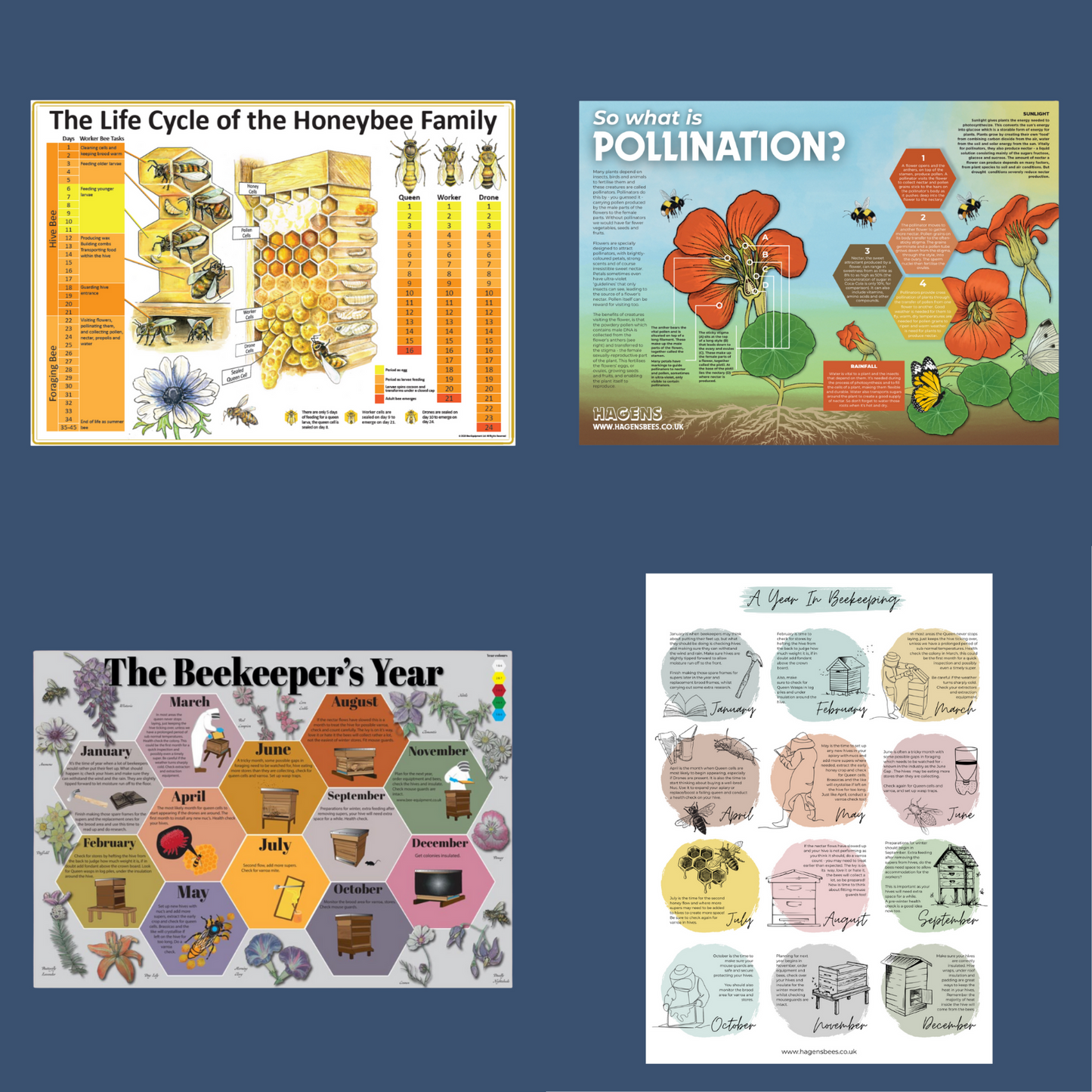 Choose Your Poster Pack - 3 Posters