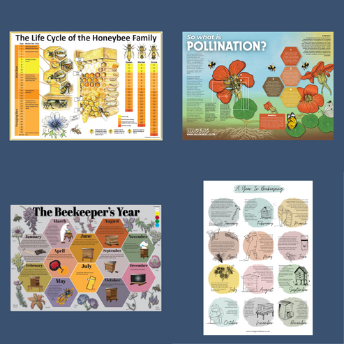 Choose Your Poster Pack - 3 Posters