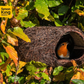 Brushwood Robin Nester by Simon King