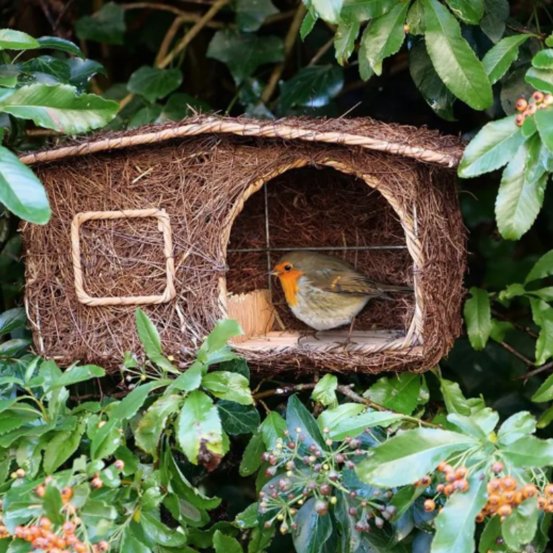 Robin Cabin Nester by Simon King