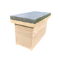 National 5 Frame Nuc Box with Feeder & Screen - Pine