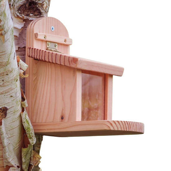 Squirrel Feeder