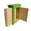 Wild Bee Observation Box in Cedar - Painted Green