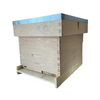 Hive Kit, Langstroth Pine Starter