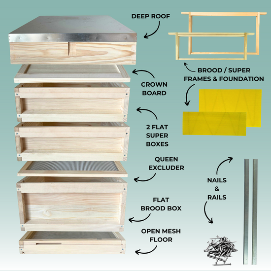 National Complete Premium Hive Kit with Frames & Wax Foundation - Pine