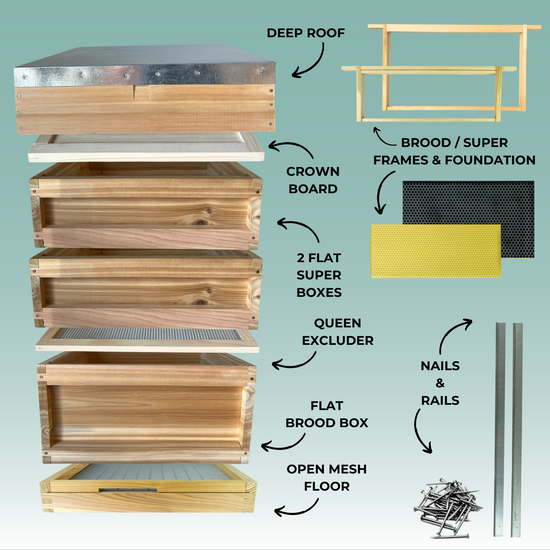 National Flat Pack Complete Hive Kit with Frames & Plastic Foundation - Cedar