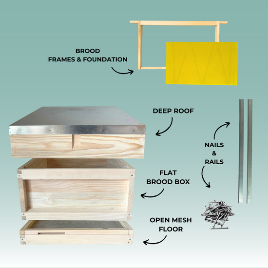 National Winter Hive - With Frames & Wax Foundation - Pine
