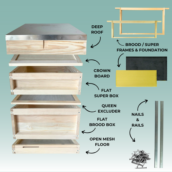 National Starting Hive Kit with Frames & Plastic Foundation - Pine
