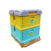 Langstroth Thermo Beehive