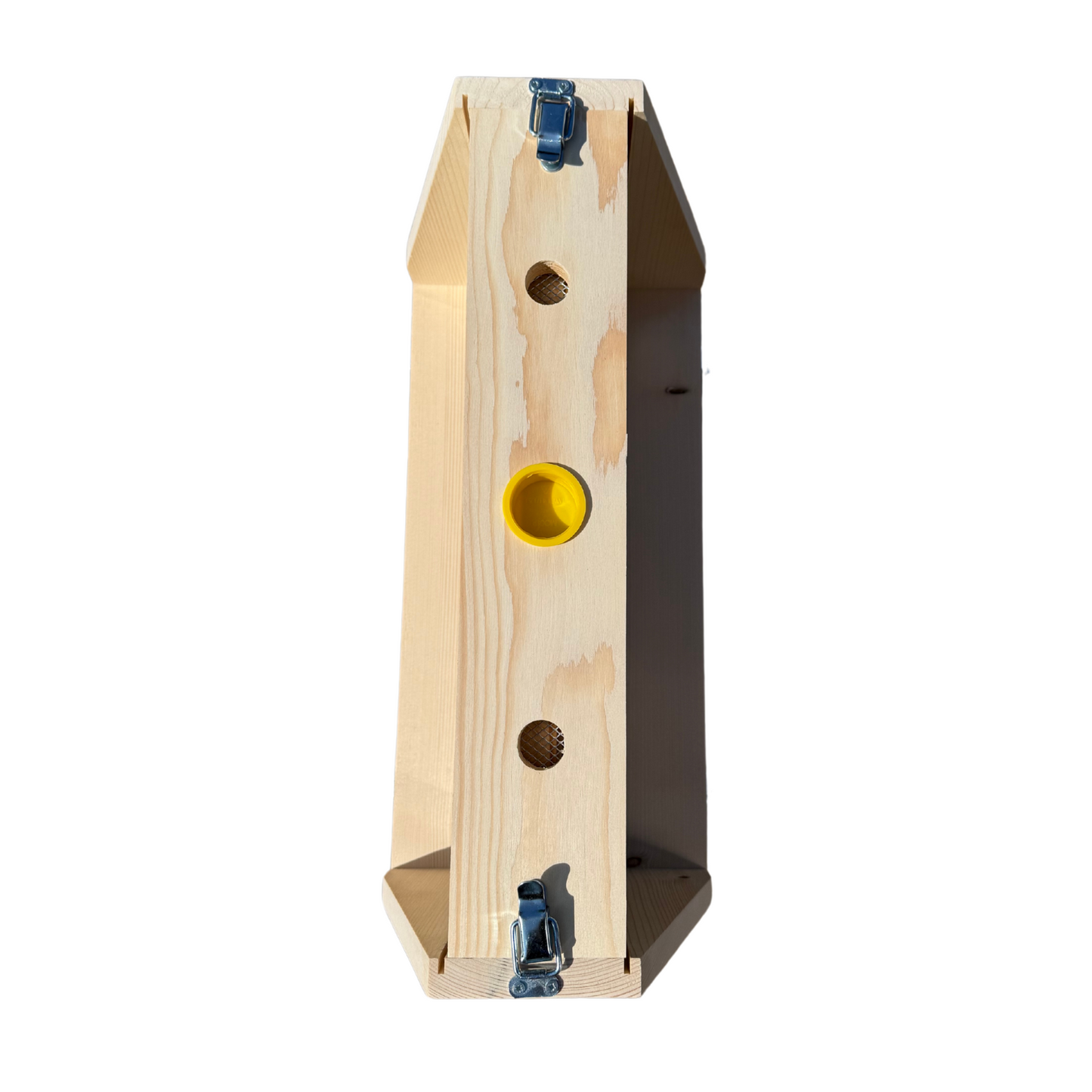 National 5 Frame Observation Hive - Pine
