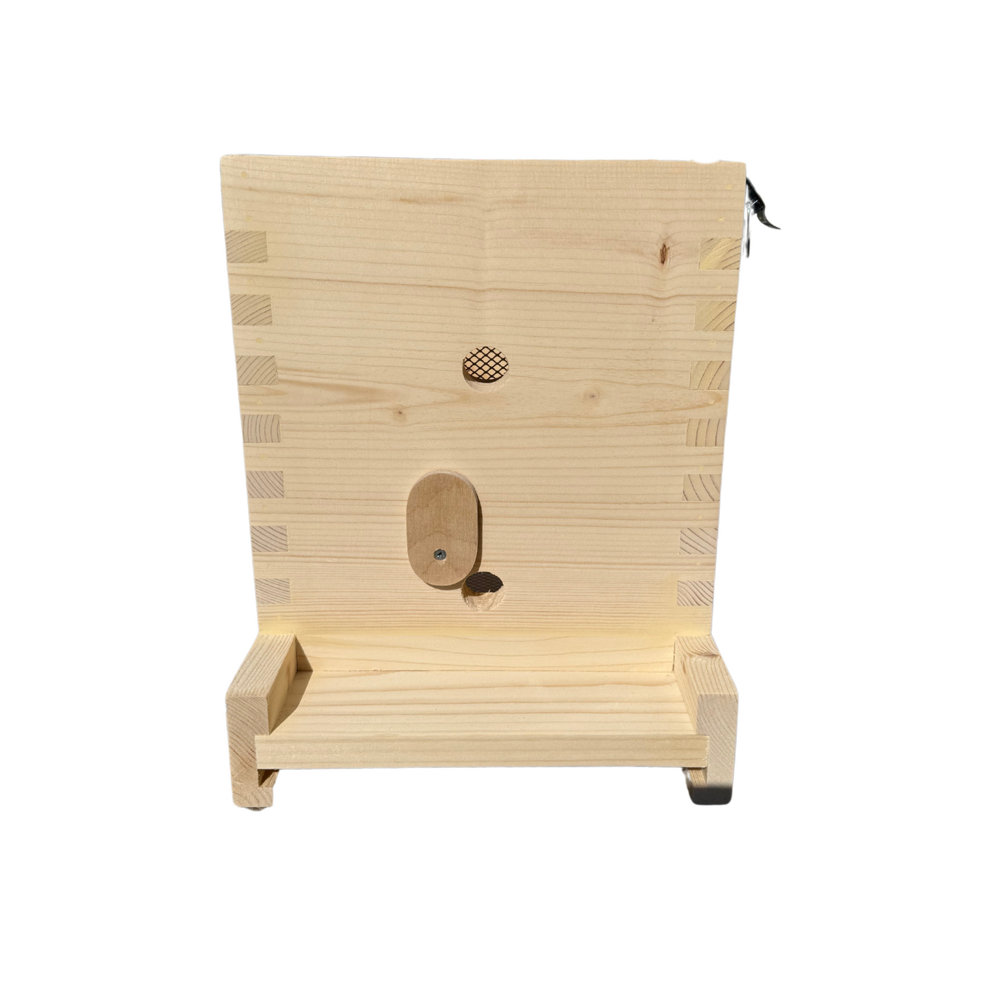 National 5 Frame Observation Hive - Pine