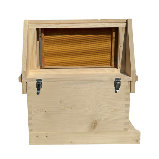 National 5 Frame Observation Hive - Pine