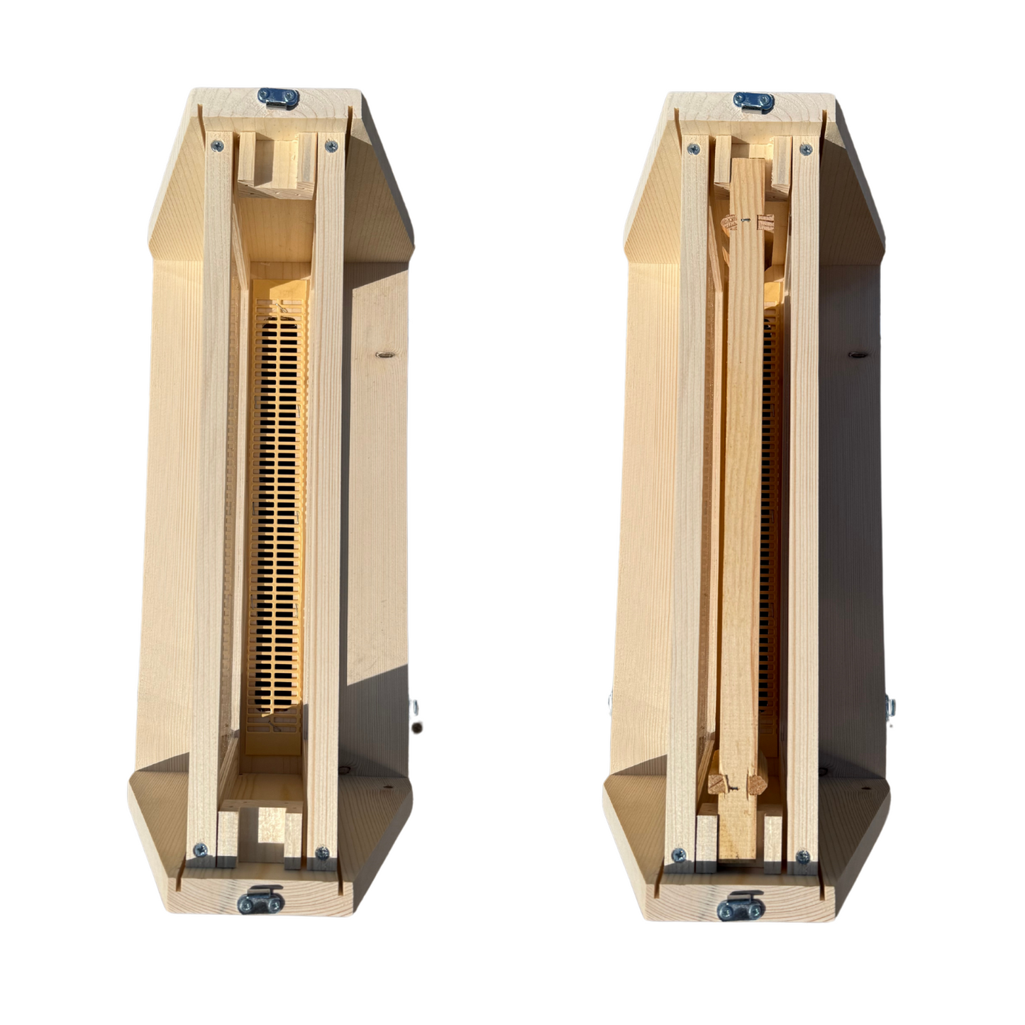 National 5 Frame Observation Hive - Pine