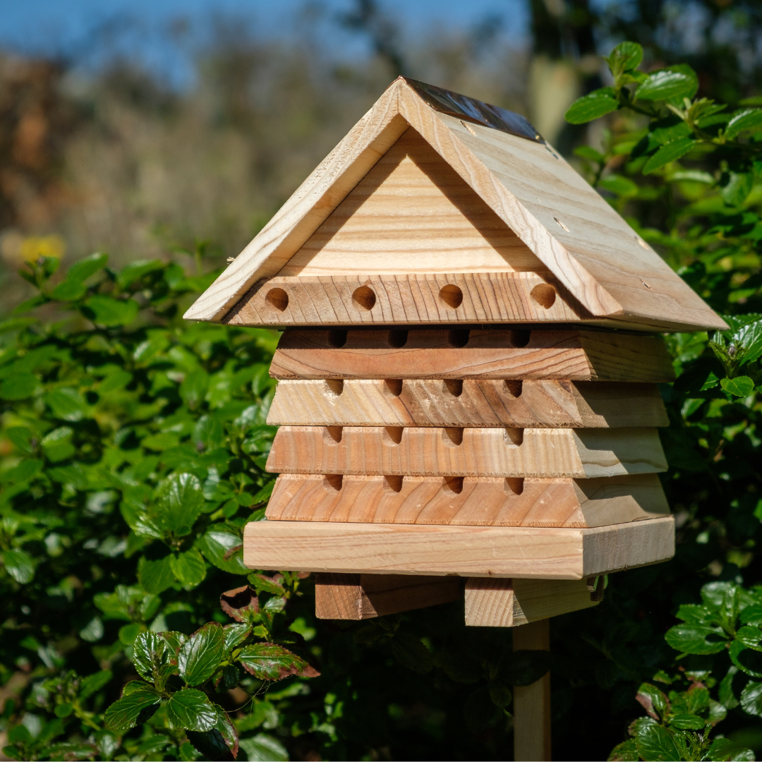 Interactive Flip Top Solitary Bee Hive