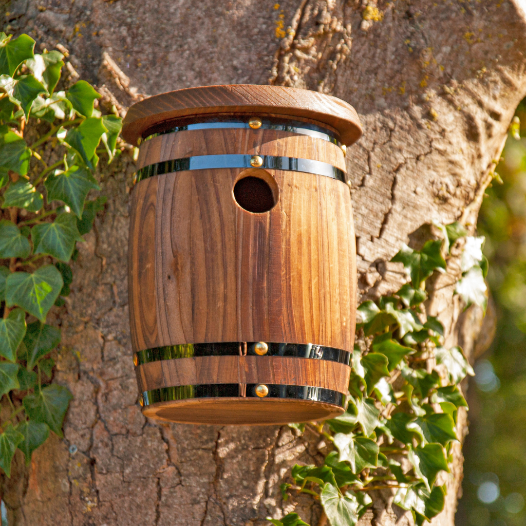 Barrel Bird Nester