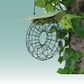 Doughnut Suet Ball Bird Feeder