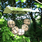Doughnut Suet Ball Bird Feeder