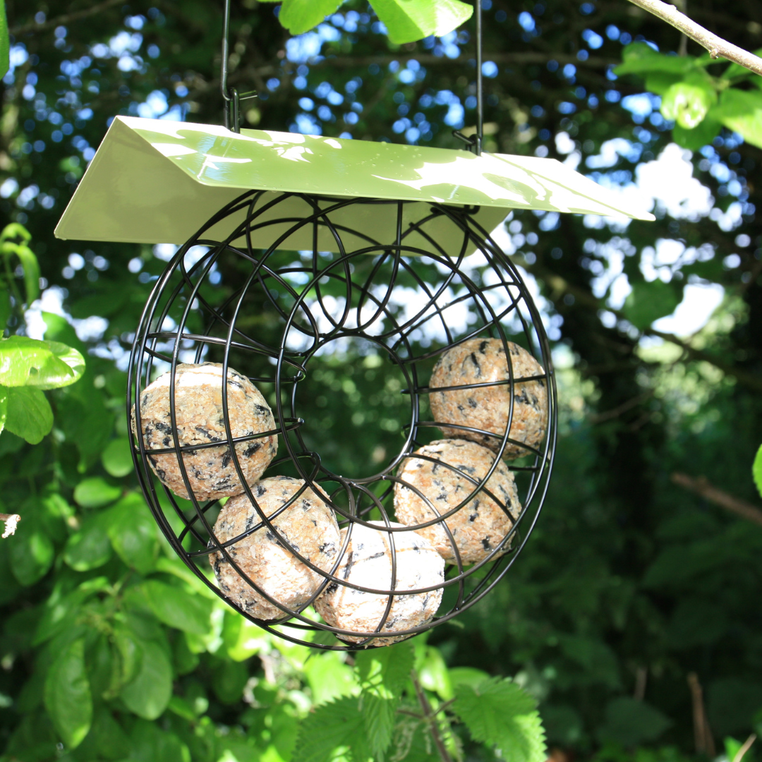 Doughnut Suet Ball Bird Feeder