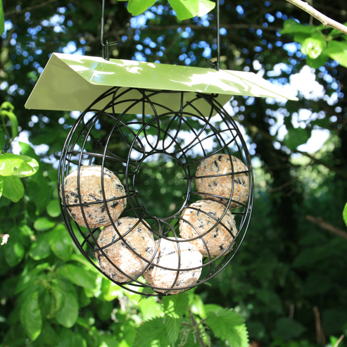 Doughnut Suet Ball Bird Feeder