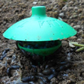 Lima Trap - For Slugs & Snails - Pack of 10