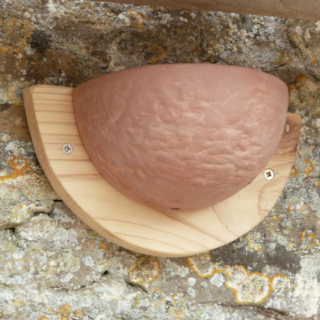 Swallow Nesting Bowl