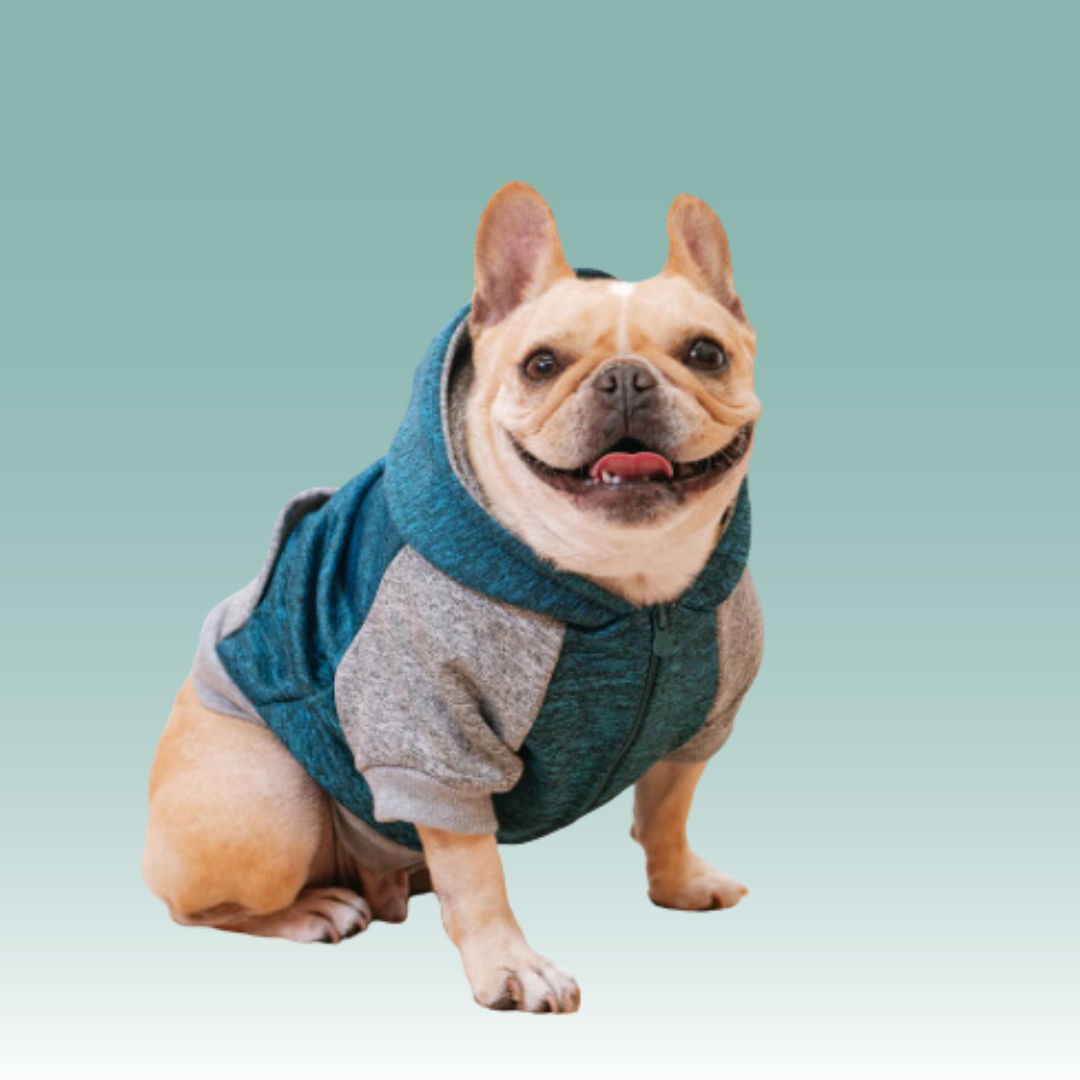 Frenchie Dog Hoodie - Blue & Grey Marl