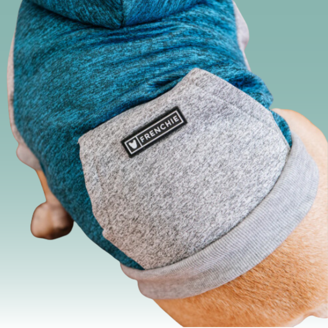 Frenchie Dog Hoodie - Black & White