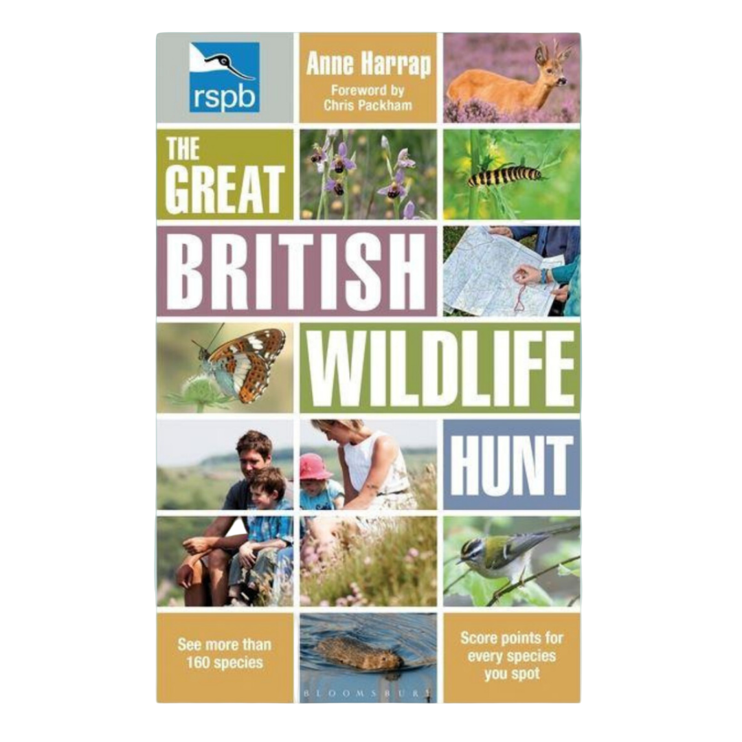 RSPB Great British Wildlife Hunt