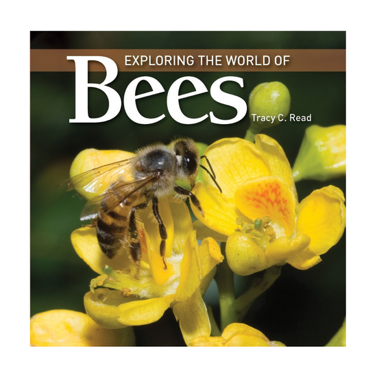 Exploring The World Of Bees Book