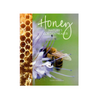 Honey: Natures Golden Healer