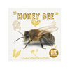 Honey Bee Life Cycles