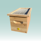 National Swarm Box - 7 Frame