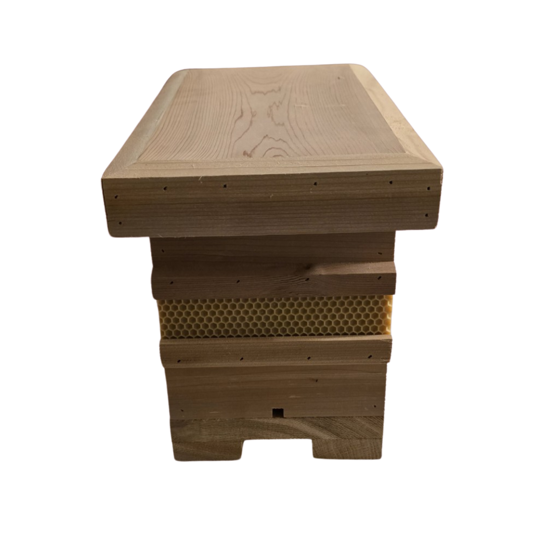 Western Red Cedar Queen Rearing Nuc with Frames