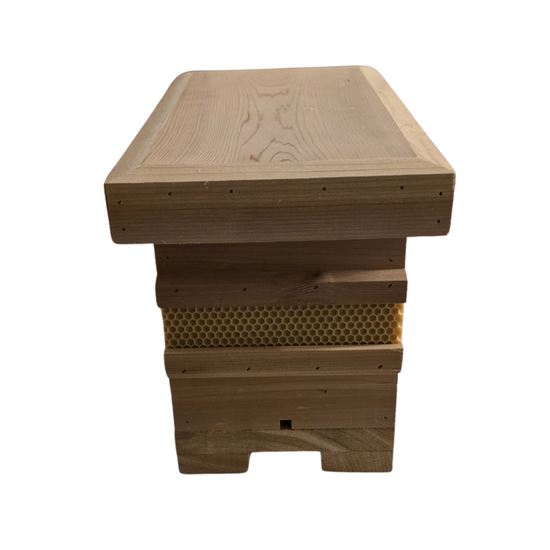 Western Red Cedar Queen Rearing Nuc with Frames