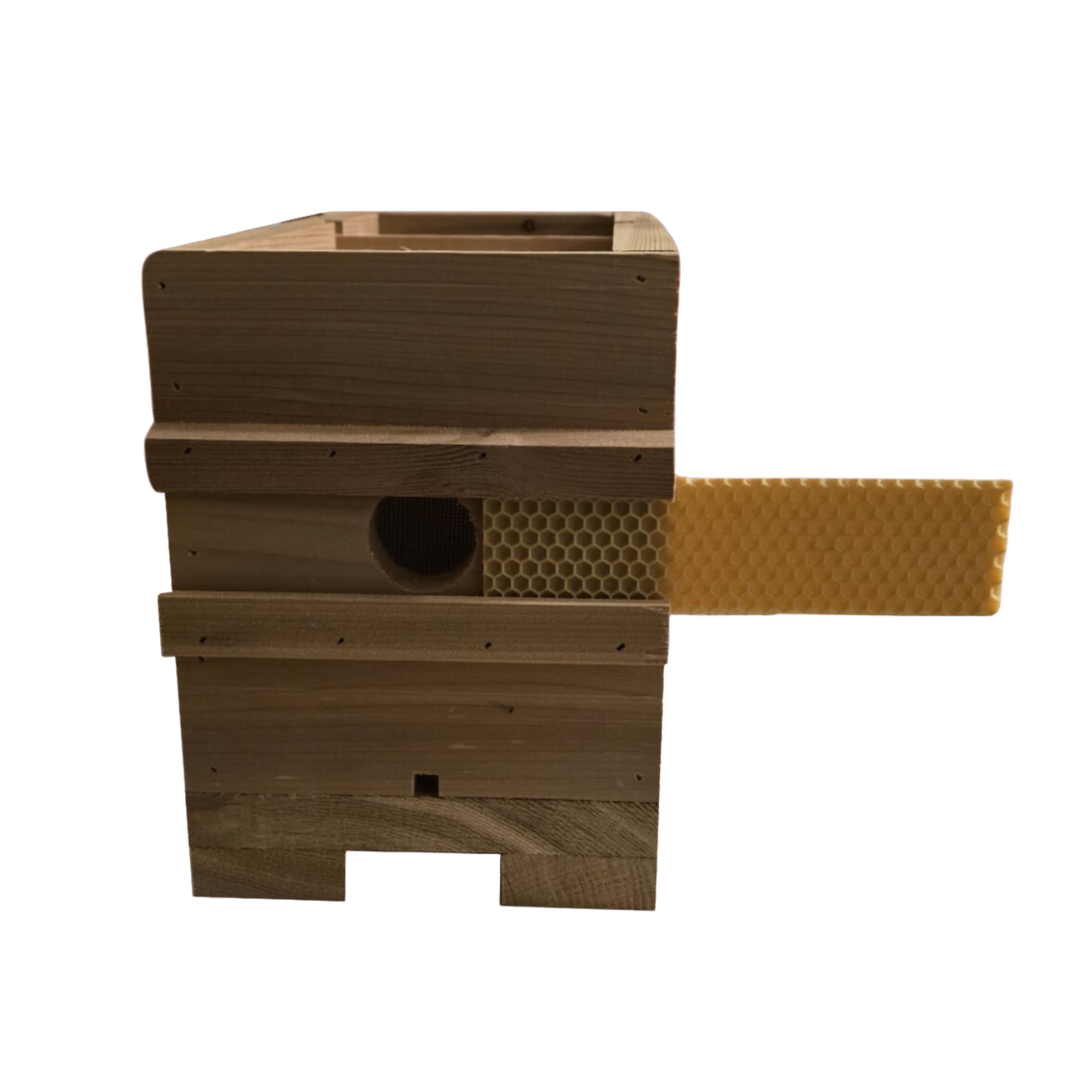 Western Red Cedar Queen Rearing Nuc with Frames