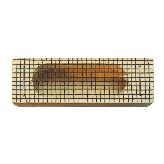 Queen Cage With Cork - California Style