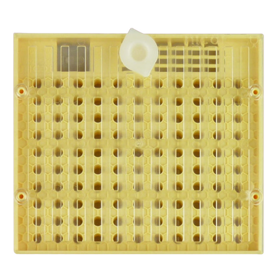 Cupularva Queen Cell Grid