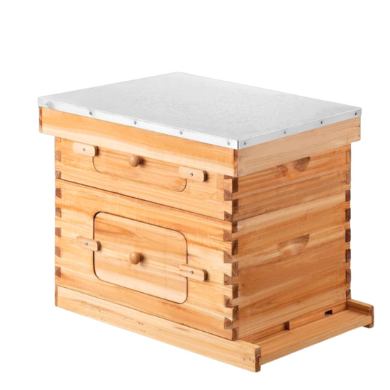 Langstroth 10 Frame Observation Hive