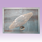 Rhombus Clearer Bee Escape