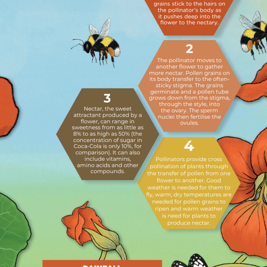So What Is Pollination? A1 Poster