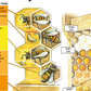 The Life Cycle of the Honeybee Family A1 Poster