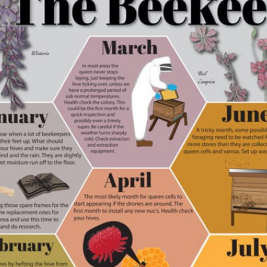 The Beekeeper's Year A1 Poster