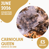 Carniolan Queen - Ready June 2026