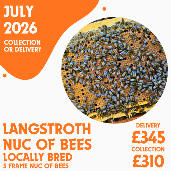 Langstroth 5 Frame Nuc of Bees - Locally Bred Queen - Delivery/Collection 3rd July