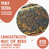 Langstroth 5 Frame Nuc of Bees - Locally Bred Queen - Ready May 2026