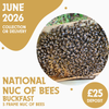 National 5 Frame Nuc of Bees - Buckfast - Ready June 2026