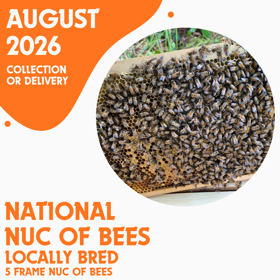 National 5 Frame Nuc of Bees - Locally Bred Queen - Delivery/Collection 6th August