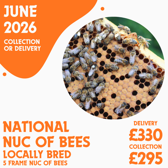 National 5 Frame Nuc of Bees - Locally Bred Queen - Delivery/Collection 19th June